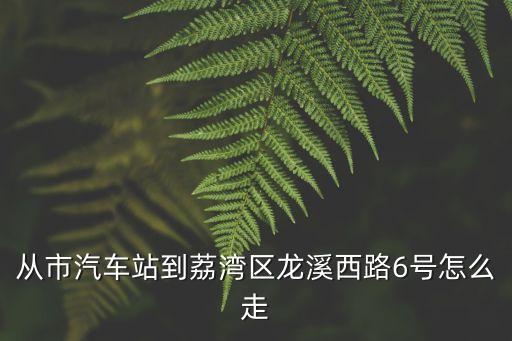 從市汽車站到荔灣區(qū)龍溪西路6號(hào)怎么走