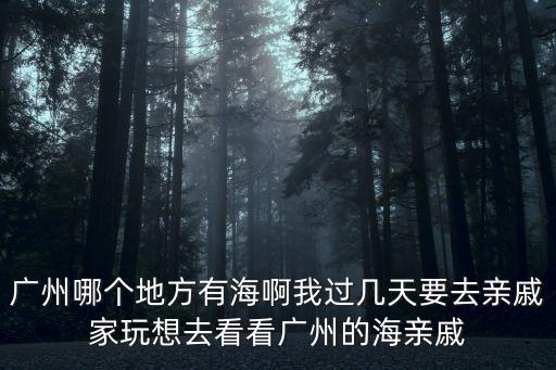 廣州哪個地方有海啊我過幾天要去親戚家玩想去看看廣州的海親戚