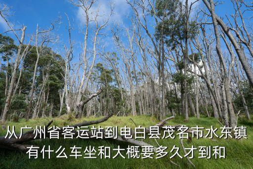 從廣州省客運站到電白縣茂名市水東鎮有什么車坐和大概要多久才到和