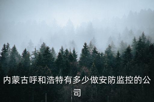 內蒙古呼和浩特有多少做安防監控的公司