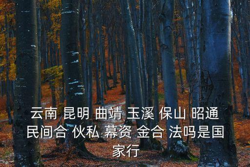 云南 昆明 曲靖 玉溪 保山 昭通民間合 伙私 幕資 金合 法嗎是國 家行