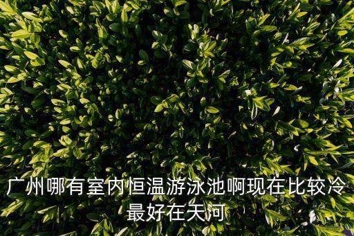 廣州哪有室內恒溫游泳池啊現在比較冷最好在天河