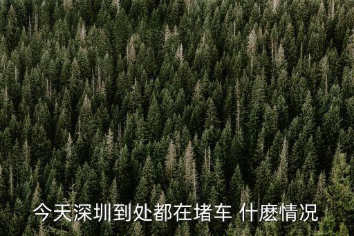 今天深圳到處都在堵車 什麼情況