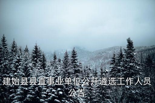 廣州市國資委公開選聘，建始縣縣直事業單位公開遴選工作人員公告
