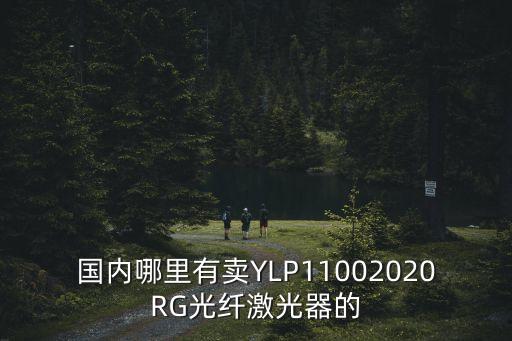 國內哪里有賣YLP11002020RG光纖激光器的