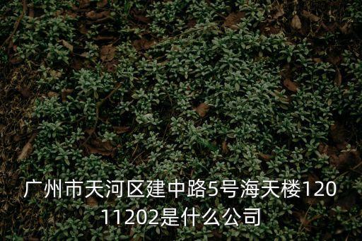 廣州金順機電有限公司，廣州市天河區建中路5號海天樓12011202是什么公司
