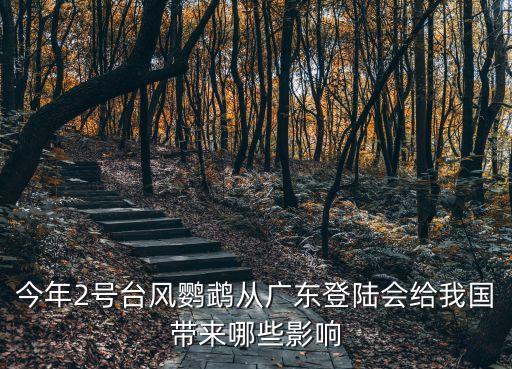 臺風鸚鵡登陸廣東會影響深圳，14日臺風鸚鵡會不會影響廣州飛太原的航班