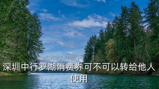 深圳中行羅湖消費券可不可以轉給他人使用