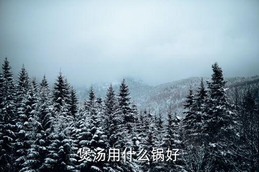 廣州人煲湯用什么鍋，做湯用什么鍋
