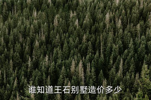 誰知道王石別墅造價多少