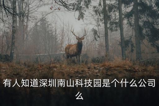有人知道深圳南山科技園是個什么公司么