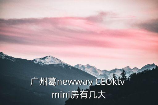 廣州葛newway CEOktv mini房有幾大
