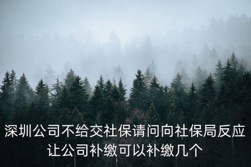 深圳企業暫緩社保，深圳社保可以申請停交