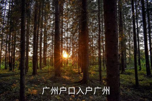 廣州入戶群，申請入廣州戶口的條件