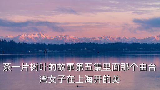 茶一片樹葉的故事第五集里面那個由臺灣女子在上海開的英