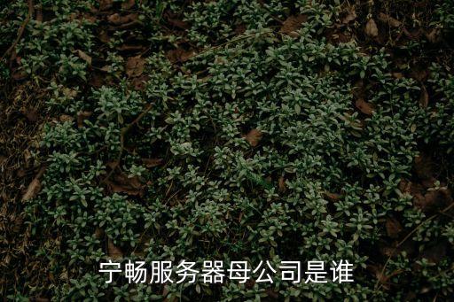 寧暢服務器母公司是誰