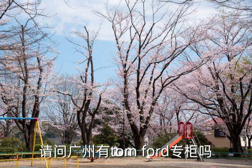 廣州市慶豐福特，請問廣州有tom ford專柜嗎