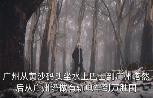 廣州從黃沙碼頭坐水上巴士到廣州塔然后從廣州塔做有軌電車到萬勝圍