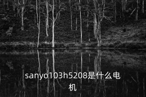 sanyo103h5208是什么電機