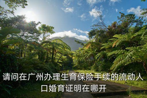 請問在廣州辦理生育保險手續的流動人口婚育證明在哪開