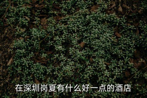 深圳崗廈北酒店，這是深圳那個酒店