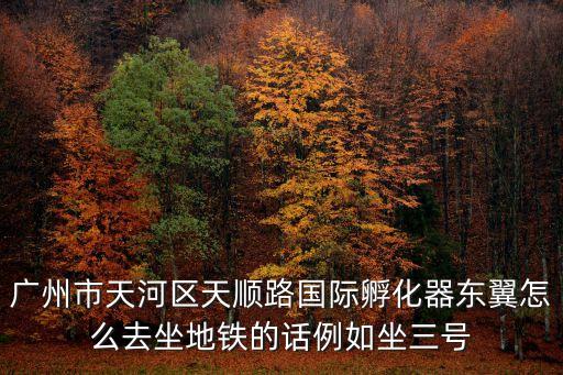 廣州市天河區天順路國際孵化器東翼怎么去坐地鐵的話例如坐三號