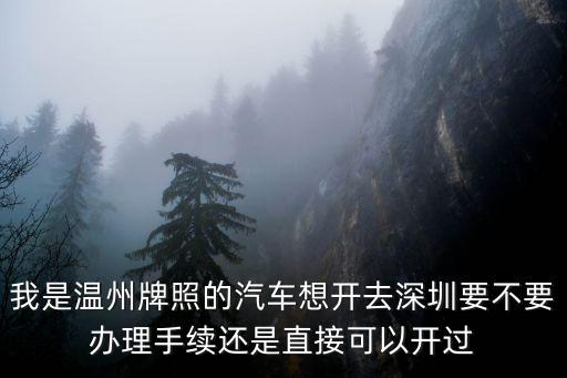 我是溫州牌照的汽車想開去深圳要不要辦理手續還是直接可以開過