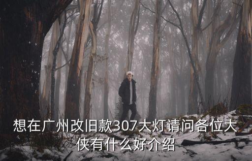 想在廣州改舊款307大燈請問各位大俠有什么好介紹