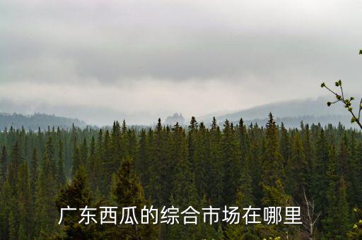 廣東西瓜的綜合市場在哪里