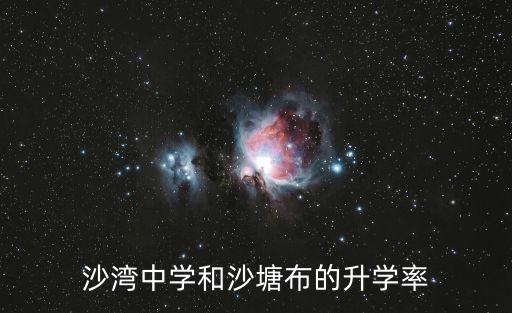 沙灣中學和沙塘布的升學率
