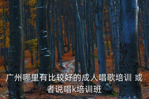 廣州哪里有比較好的成人唱歌培訓(xùn) 或者說唱k培訓(xùn)班