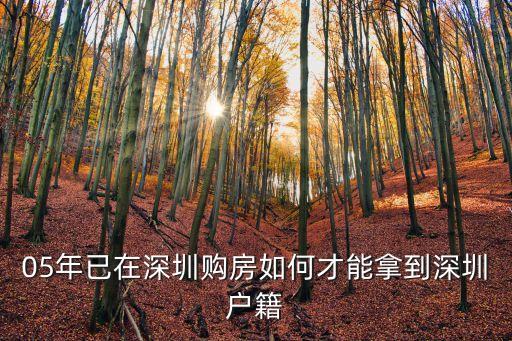 深圳買房5年忘了在哪，深圳如何查詢已賣房是否過五年