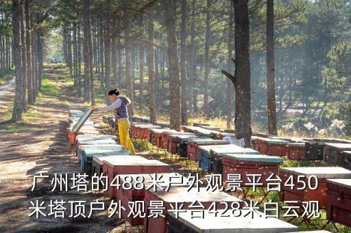 廣州塔的488米戶外觀景平臺(tái)450米塔頂戶外觀景平臺(tái)428米白云觀