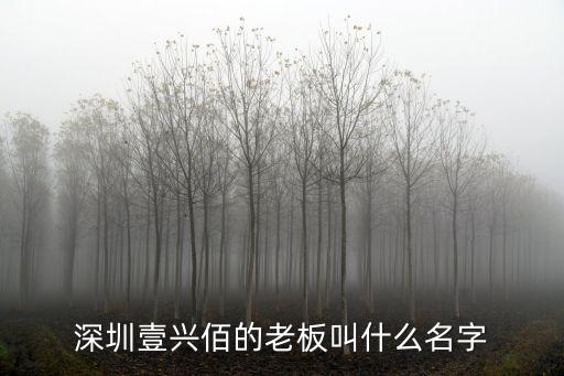 深圳壹興佰的老板叫什么名字