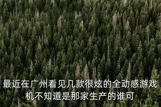 廣州市雄翔動漫科技，最近在廣州看見幾款很炫的全動感游戲機不知道是那家生產的誰可