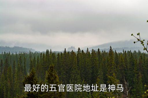 最好的五官醫院地址是神馬