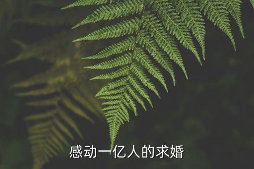 感動一億人的求婚