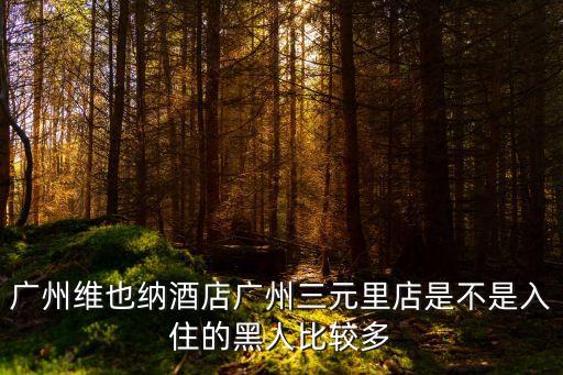 廣州三元里 非洲女，廣州維也納酒店廣州三元里店是不是入住的黑人比較多