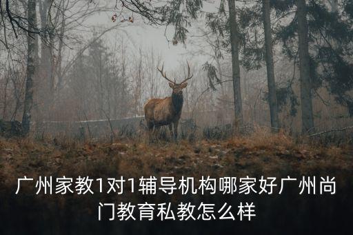 廣州家教1對1輔導機構哪家好廣州尚門教育私教怎么樣
