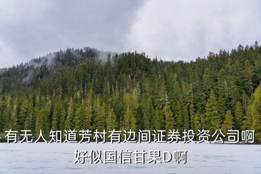 有無人知道芳村有邊間證券投資公司啊好似國信甘果D啊