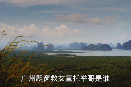 廣州爬窗救女童托舉哥是誰