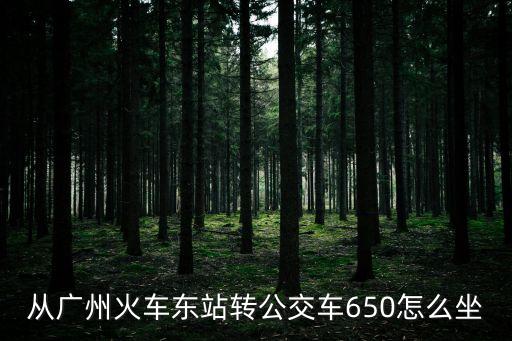 廣州市650，從廣州火車東站轉(zhuǎn)公交車650怎么坐