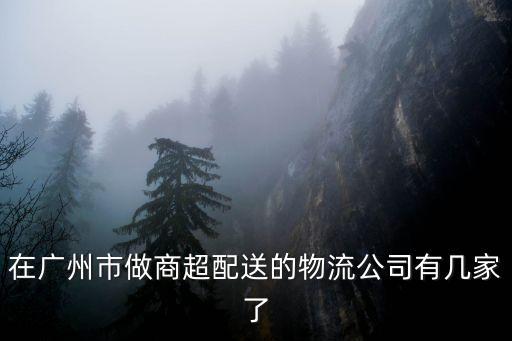 廣州平利物流有限公司，在廣州市做商超配送的物流公司有幾家了