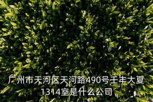 廣州市天河區天河路490號壬豐大夏1314室是什么公司