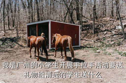 我是廣州的小學(xué)生開(kāi)展手拉手活動(dòng)要送禮物給清遠(yuǎn)的學(xué)生送什么