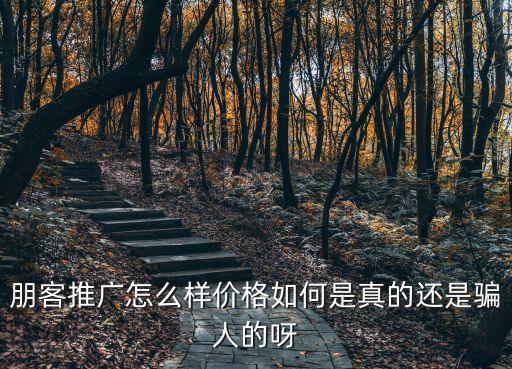 朋客推廣怎么樣價(jià)格如何是真的還是騙人的呀