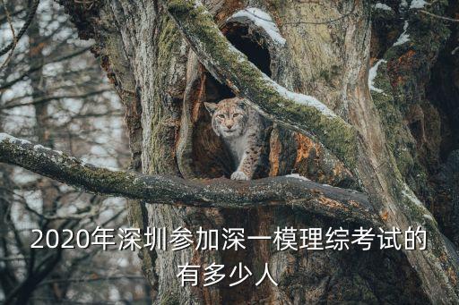 深圳調(diào)研理綜2020，學(xué)習(xí)理科的好方法