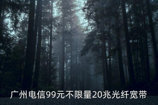 廣州電信99元不限量20兆光纖寬帶