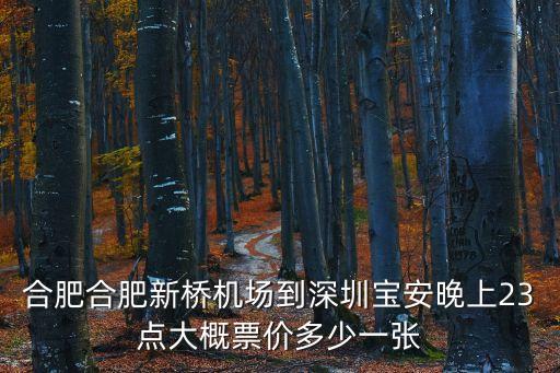 合肥新橋飛機(jī)到深圳飛機(jī)，合肥合肥新橋機(jī)場(chǎng)到深圳寶安晚上23點(diǎn)大概票價(jià)多少一張