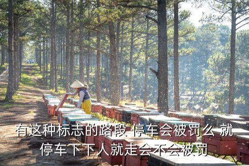 廣州拍攝路段即停即走，路邊停車下客即走會被拍違停嗎